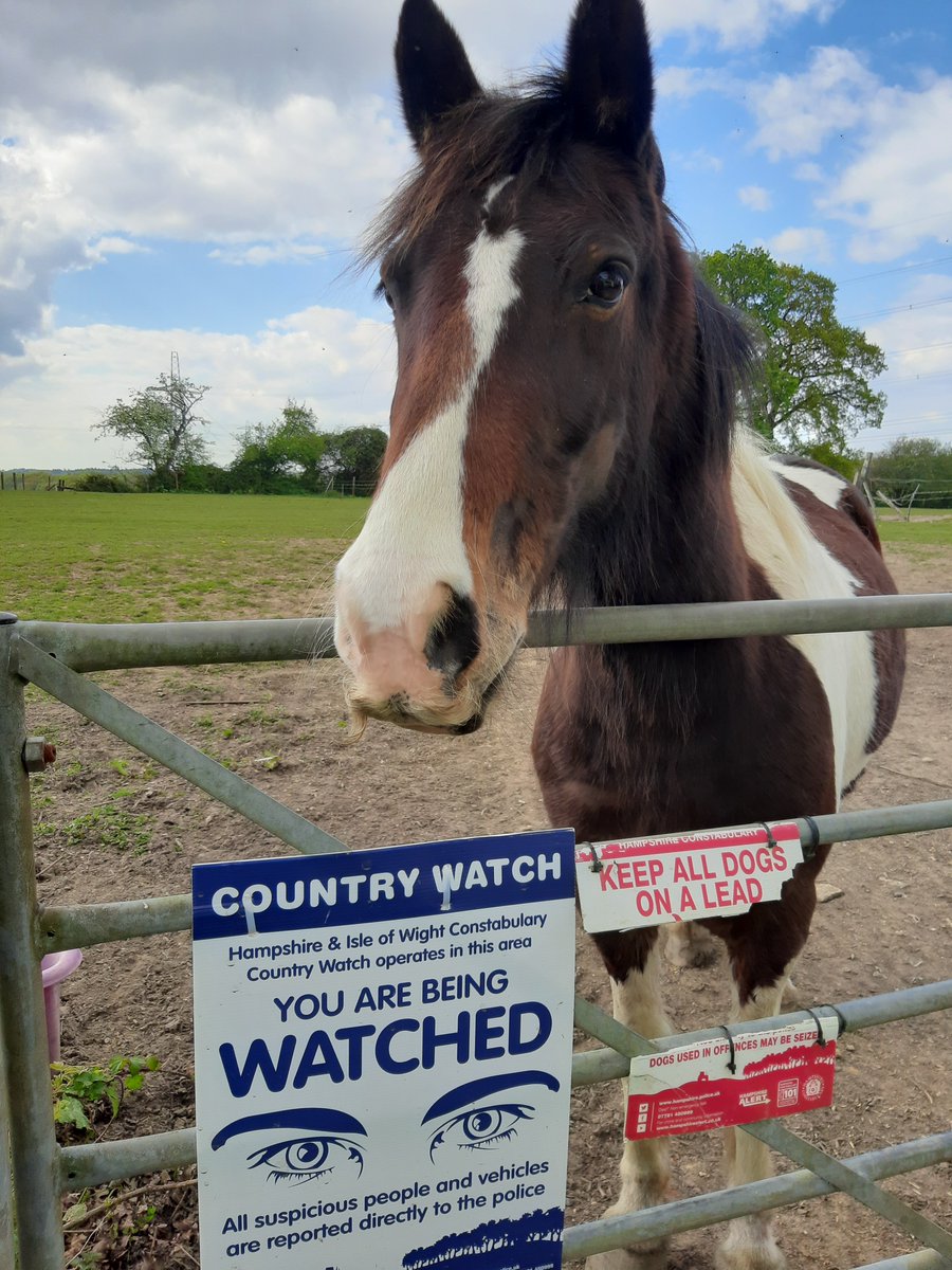 Ever feel like you're being watched? Our signs indicate a location that we pay particular attention to; it's no surprise that they can get damaged, either deliberately or by the curious locals, but we'll still be watching! Let us know if you would like some #HantsRural #21195