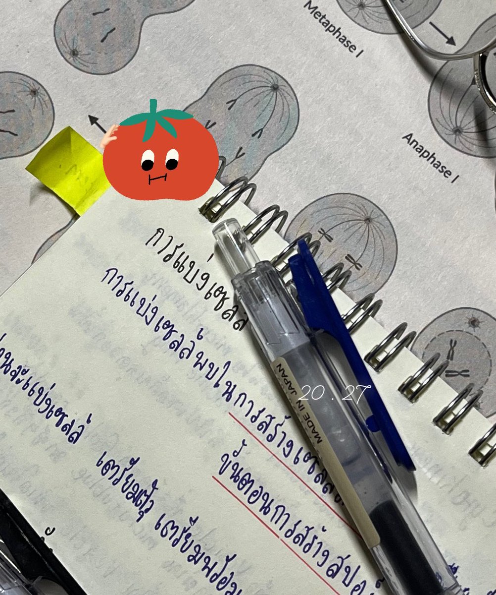 ｡ﾟﾟ･｡･ﾟﾟ｡ 
         1 ℳ𝒶𝓎 24 
      2 𝒽𝓇 58 𝓂 🍎✏️📘
　ﾟ･｡･ﾟ 

 𝝑𝑒  𝒷𝒾𝑜 อ่าน meiosis + จดสรุป

 𝝑𝑒  𝒸𝒽𝑒𝓂 ติวเคมี สอวน. 

เดือนพฤษภาคมใจดีกับเราหน่อยนะ 💬
#itsaordiary 🌺