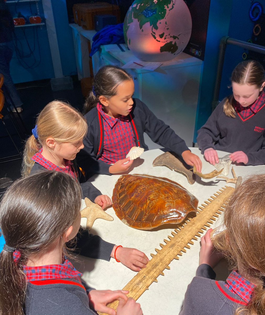 As part of the Lower Prep's IPC topic 'Sustainable Citizens', pupils enjoyed a trip to the @NMAPlymouth . The children visited the deep with the help of VR, before dissecting the contents of a 'whale's' stomach to learn how plastic can enter the food chain and affect sea…