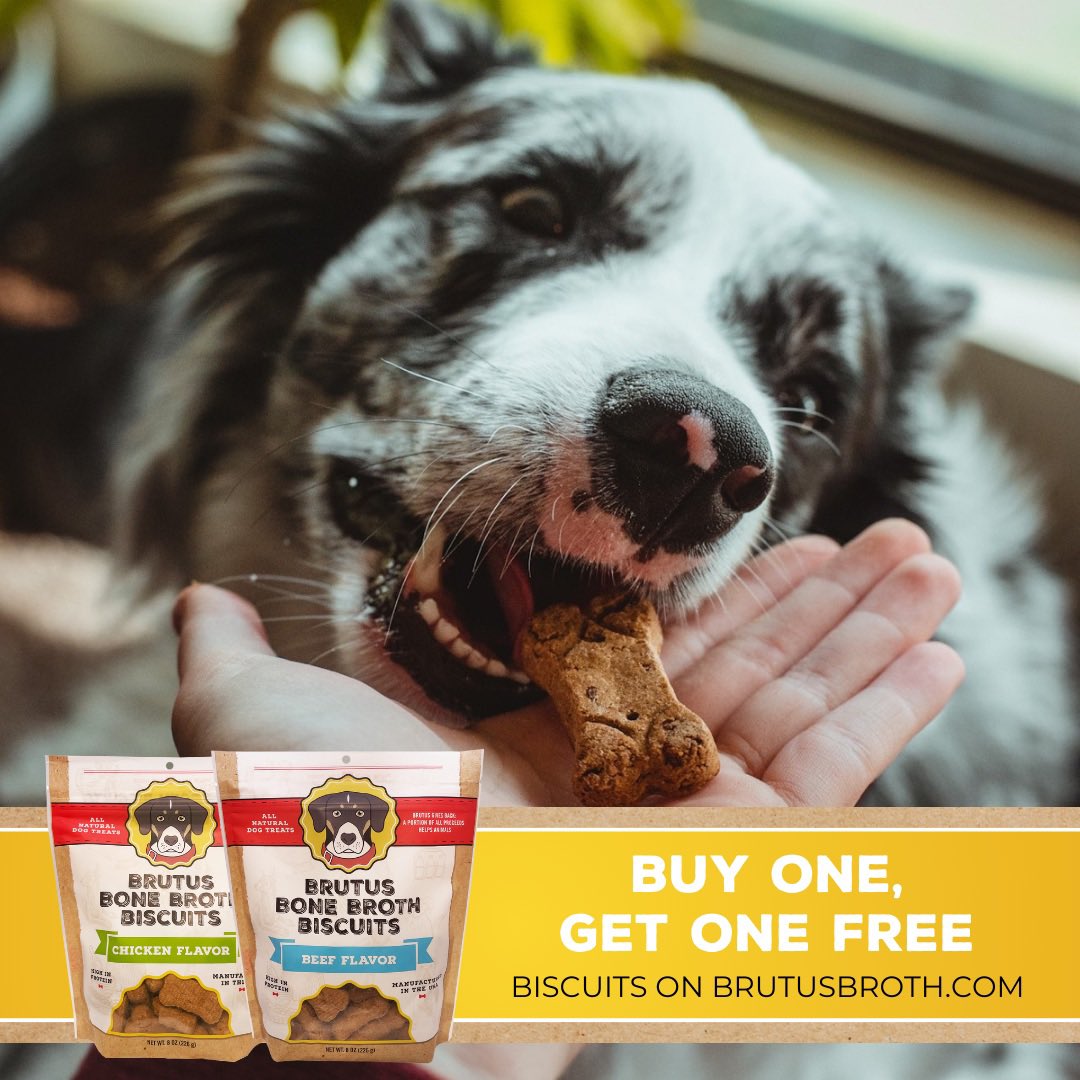 Kicking off  #PetMonth with a BOGO deal on our Biscuits on Brutusbroth.com 🦴🐾