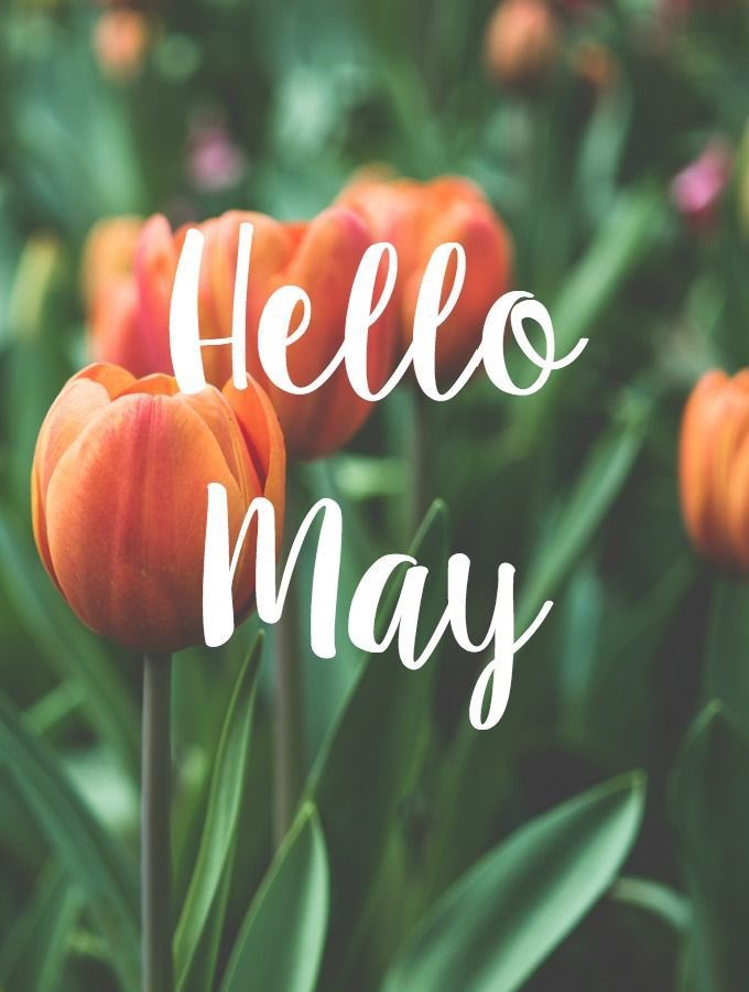 Happy May 💕

What are your plans for May??
.

.

.
#may #like #spring #mgdn #hair #monday #instagood #caneloggg #sun #fashion #ufc #gw #work #ootd #instagram #coordinate #folowme #tagsforlikes #outfit #folow #fation #april #love #summer #a #beautiful #life #ali #boxing #march