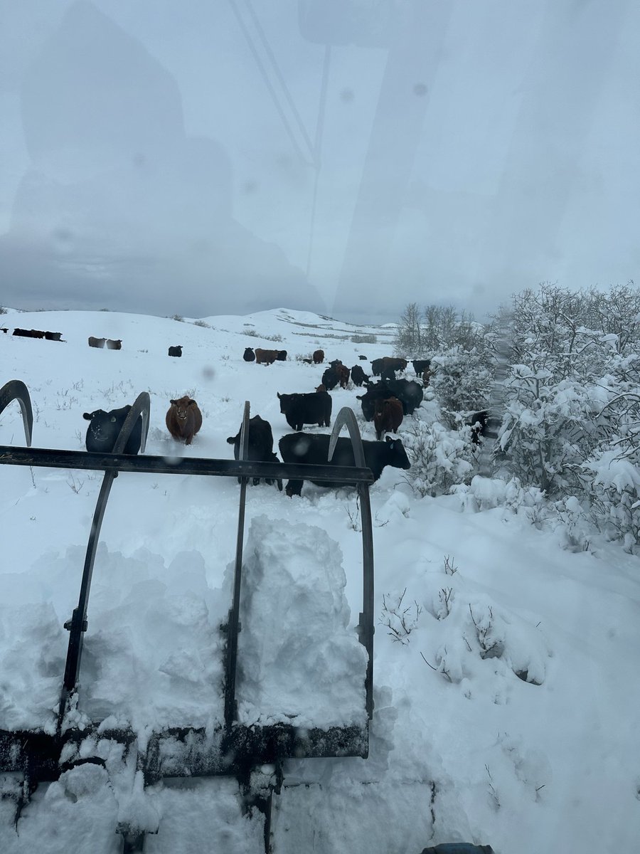 Stephen Hughes tweet media