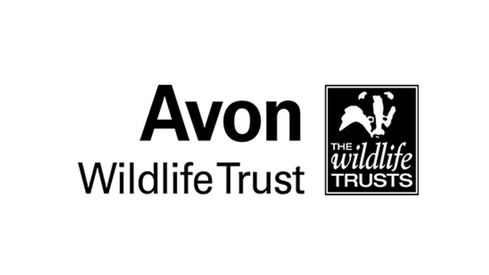 Supporter Care Assistant @avonwt #Bristol

Select the link to apply:ow.ly/w9Jj50RqMce

#BristolJobs #GreenJobs