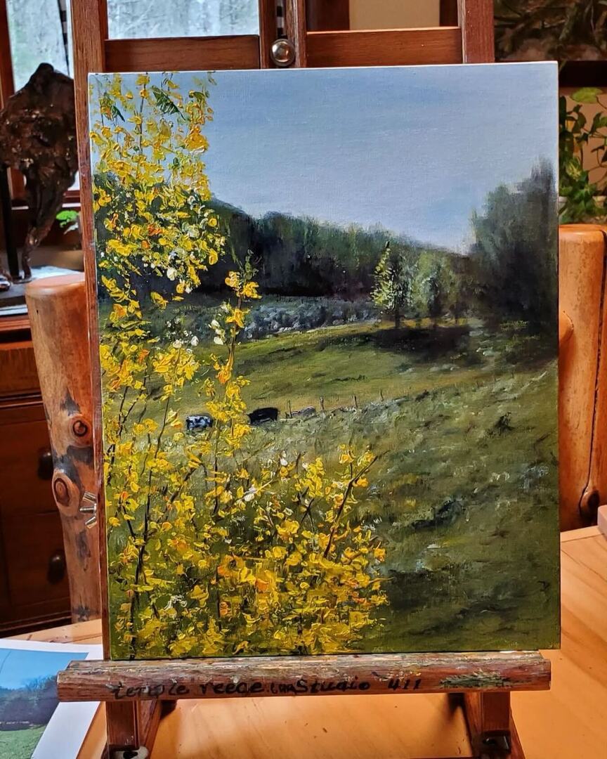 🖼️ @templreece #NewWorksWednesday Yes, it’s snowing...brrr ❄️❄️❄️ but it really is SPRING...here’s proof! Forsythia or as I call them yellow bells, bright and shining. 🌼 Just a few more hours and this one will be finished. 11x14 in oils on linen panel… instagr.am/p/C6bg_HerkWK/