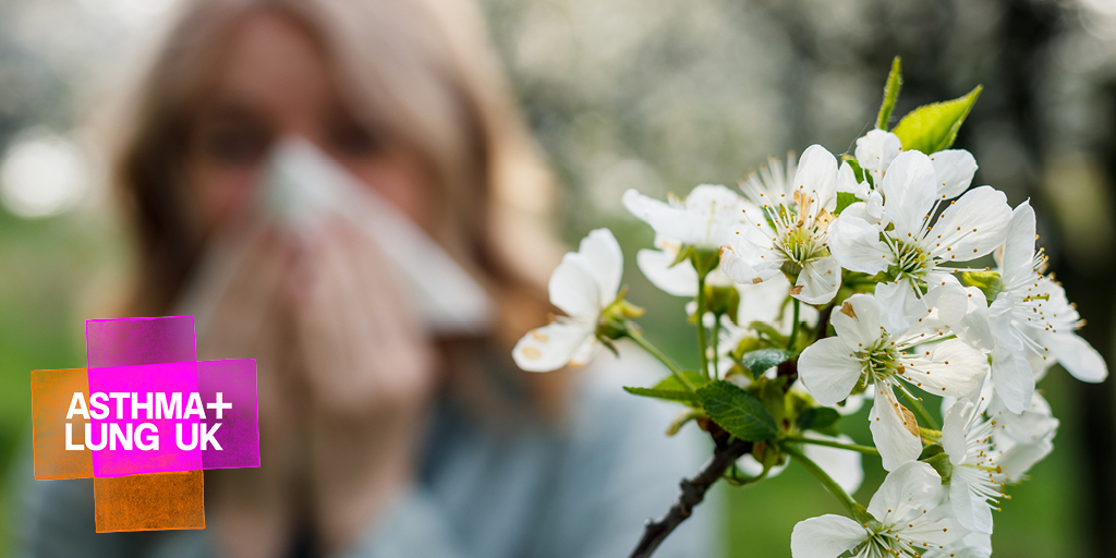 If you have hay fever, you might have noticed that the pollen count is high across parts of the UK this week! Hay fever can make your lung condition symptoms worse. Read about simple actions you can take to prevent hay fever affecting your lung condition. bit.ly/3UFftbl
