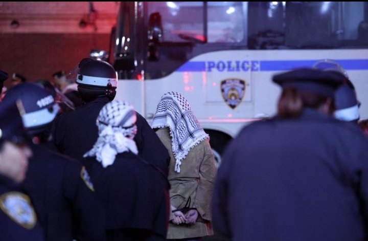 #URGENTE || La Policía de Nueva York arresta a unos 50 estudiantes manifestantes, cada uno de ellos con las manos atadas a la espalda con bridas, mientras los estudiantes que observan afuera del campus de la Universidad de Columbia gritan: 'Palestina libre, libre, libre'.