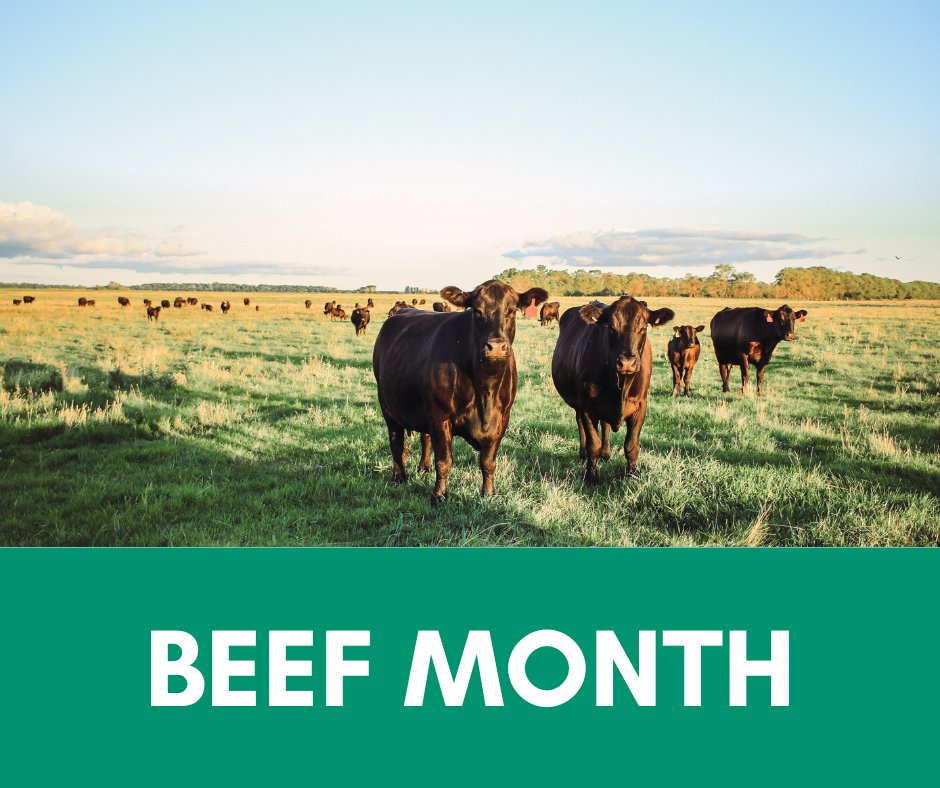 Today is May 1st which means it is officially BEEF MONTH! Thank you to the hardworking farmers and ranchers who raise beef cattle!