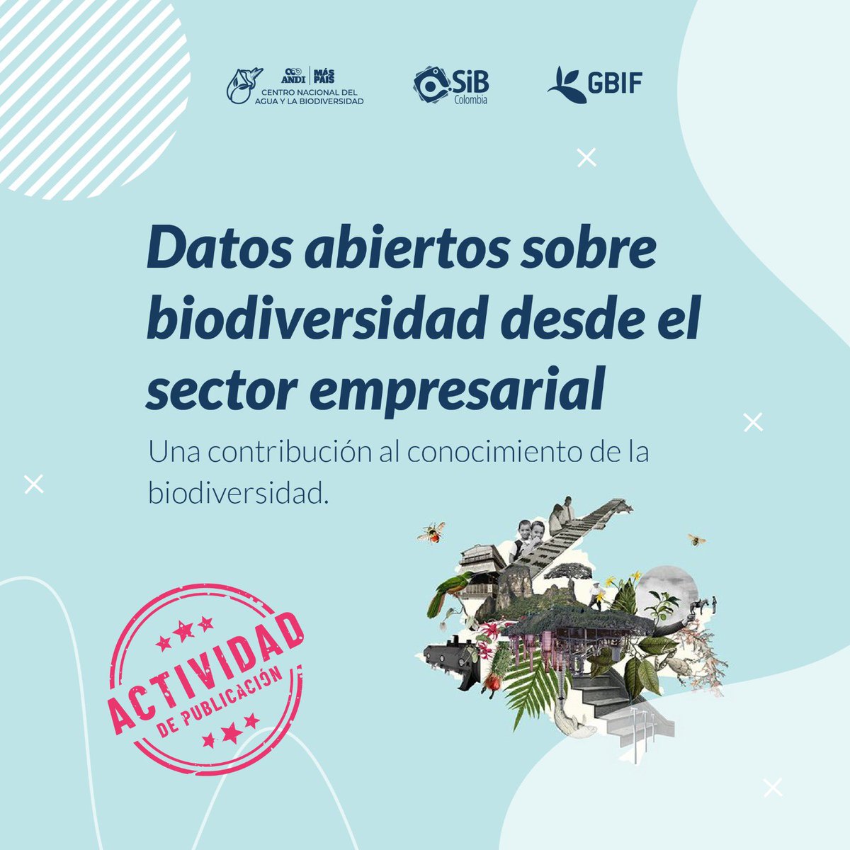 La contribución al conocimiento de la #Biodiversidad con #DatosAbiertos del sector empresarial sigue creciendo! @COP16Colombia 

Aquí te contamos como va la publicación 2024 en @sibcolombia y @GBIF

#SostenibilidadANDI #BiodiversidadyDesarrollo #CrearCompartirTransformar 

Va 🧵