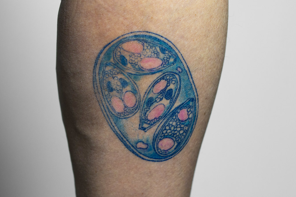 Our April newsletter is out! In this issue: Why this scientist got a tattoo of a microbe. How AI can boost animal science research. And food scientists are helping preserve food quality. Check out our newsletter & sign up here: aaes.uada.edu/news/april-202… @AginArk @AgIsAmerica