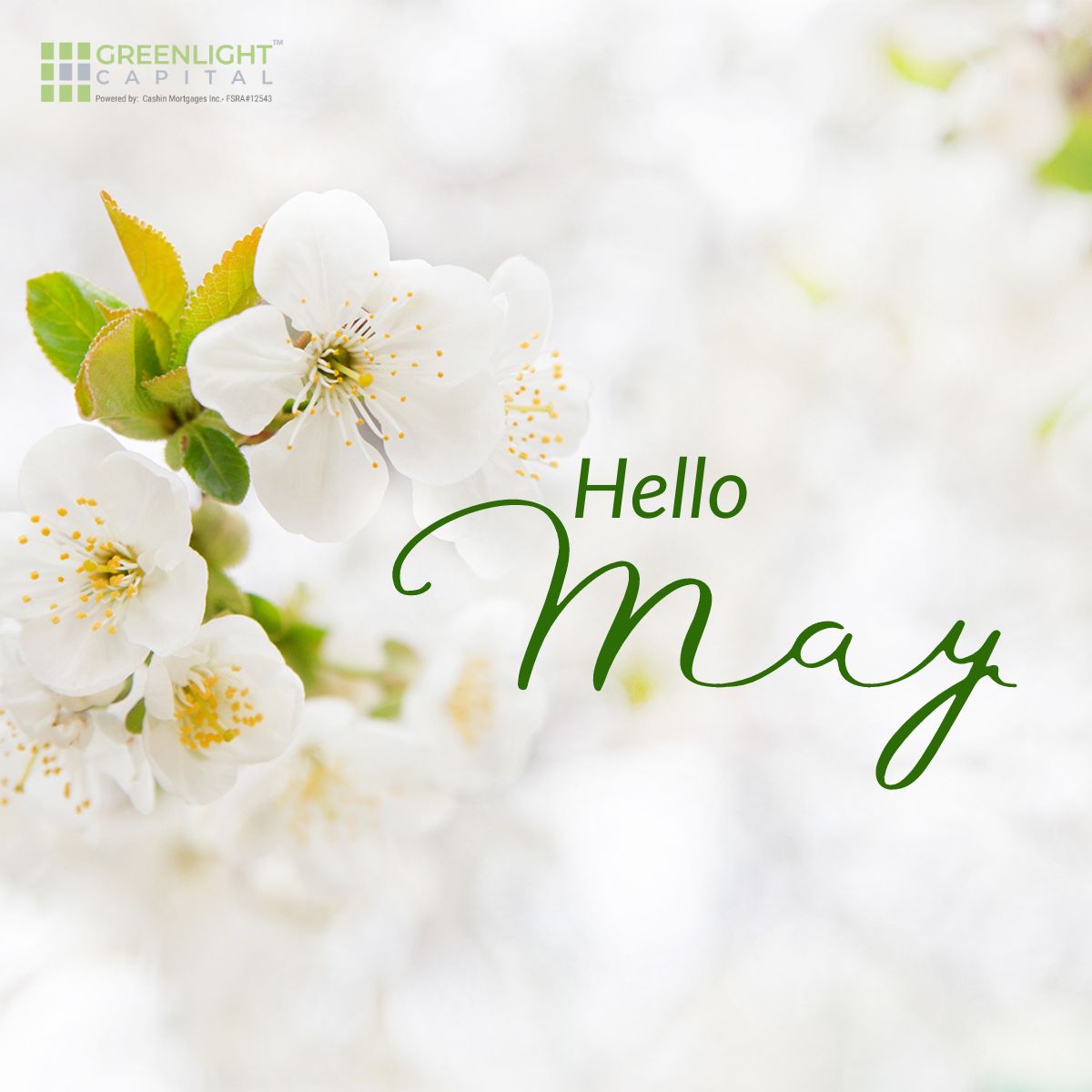Hello May! 🌸 Let's make this month blooming with financial possibilities. From our private lending team to you, may your goals flourish and dreams come true. 💼✨ 

#MayGoals #PrivateLending #PrivateLending #TorontoMortgages #GreenlightCapital #Gogreenlightloans