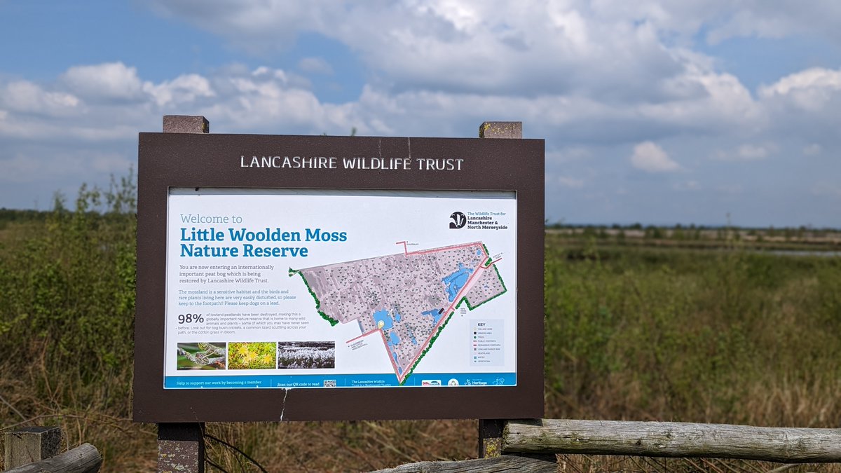 Yesterday we visited Little Woolden Moss for the open day of 'A Bog's Life': a #GreenSpacesFund project in Salford, run by @Lancswildlife, that's turning a patch of dried-out peat into a living, breathing, educational bog 🌱

Moss is boss! 💚

@GMGreenCity