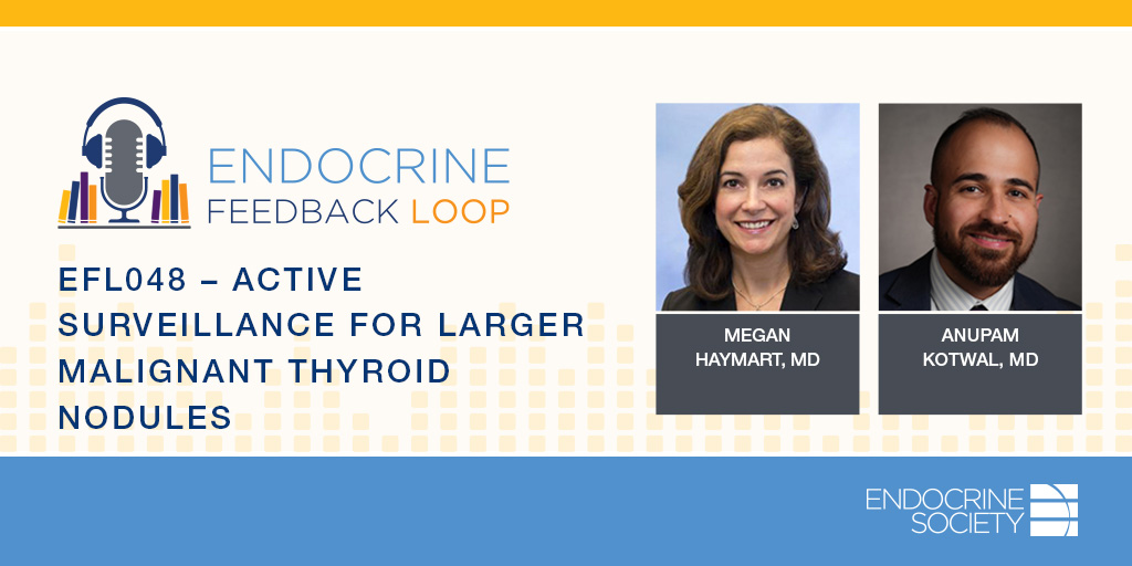 Endocrine Feedback Loop | Listen to @DrAKotwal and Megan Haymart, MD discuss a recent #JCEM article (bit.ly/3Ut4t0B) on Nonoperative, Active Surveillance of Larger Malignant and Suspicious #ThyroidNodules (bit.ly/3vW8eCw).