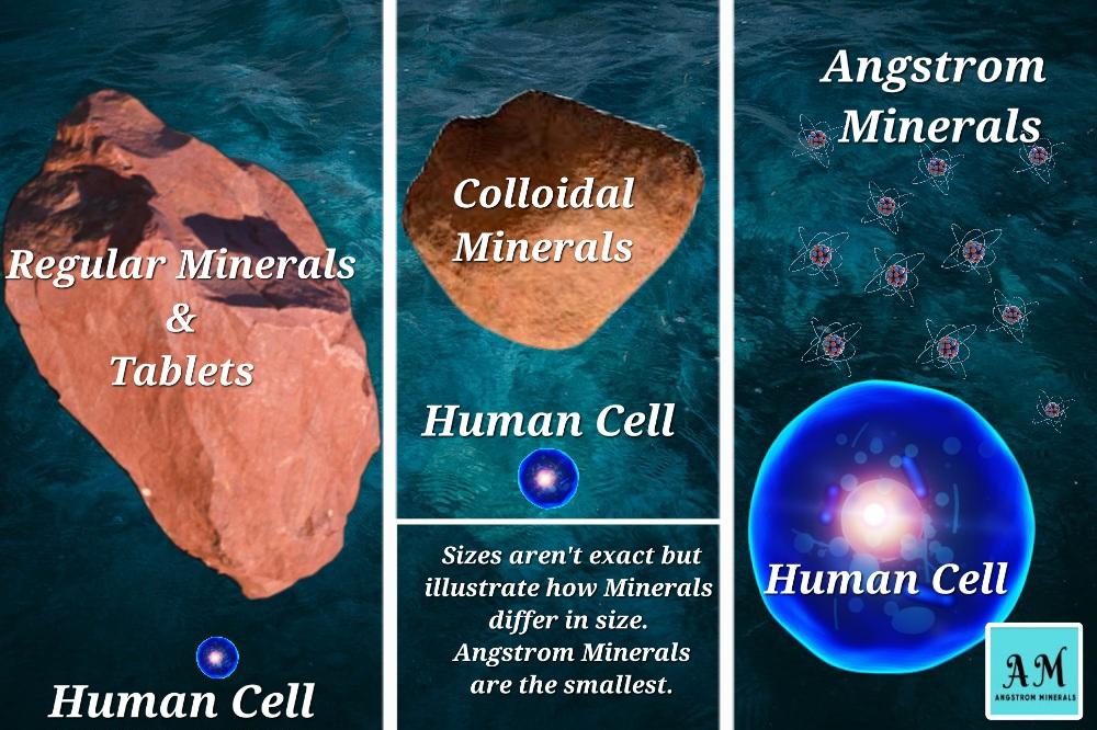 #AngstromMinerals are the #smallest form of a #mineral. Anything smaller is no longer a mineral. You just cannot go smaller, thus #Angstrom minerals #absorb better than any other #mineralsupplement. Right through the #cellwall, no #digestion required! #traceminerals #Nutrition