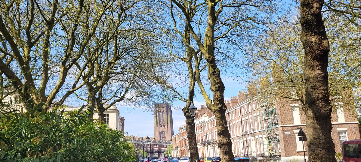 Been a fab start to the new month of May here #inmyliverpoolhome The Georgian Quarter of Liverpool is my favourite area of the city... Looked great this morning down Falkner Square.. Warm #MayDay2024 sunshine 🌞 at last and blue skies...and #BillyWind nowhere to be seen😉