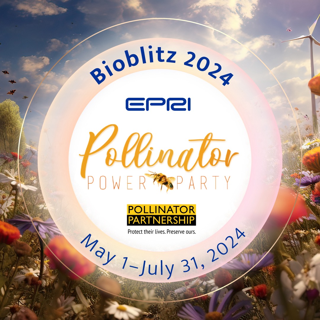 The first ever Pollinator Power Party Bioblitz Competition kicks off today. If you haven’t already click below to join the Bioblitz and don’t forget to win you must register for the pollinator party. inaturalist.org/projects/polli… #powerinpollinators #pollinatorparty