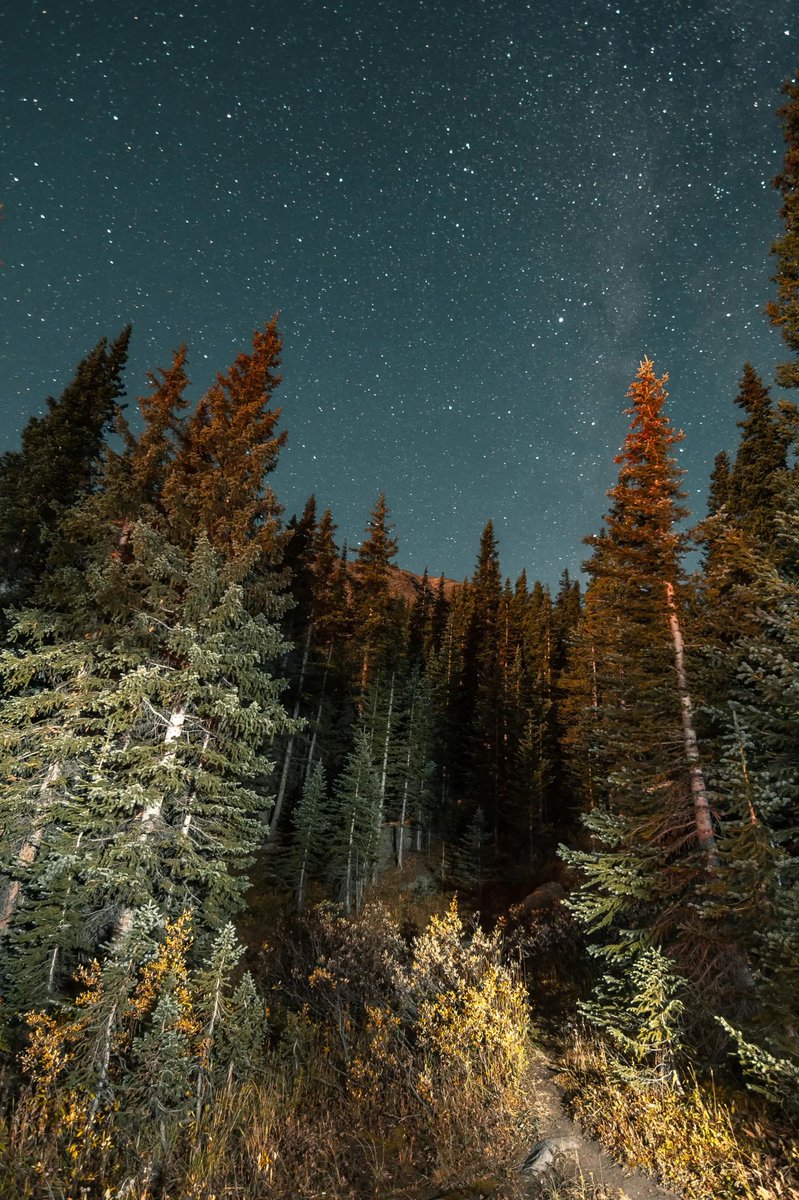 Whether you’re an amateur astronomer or a casual sky-watcher, discover some of the best places for stargazing in Colorado at the link below.

ow.ly/52fp50RsNKK

#RuleProperties