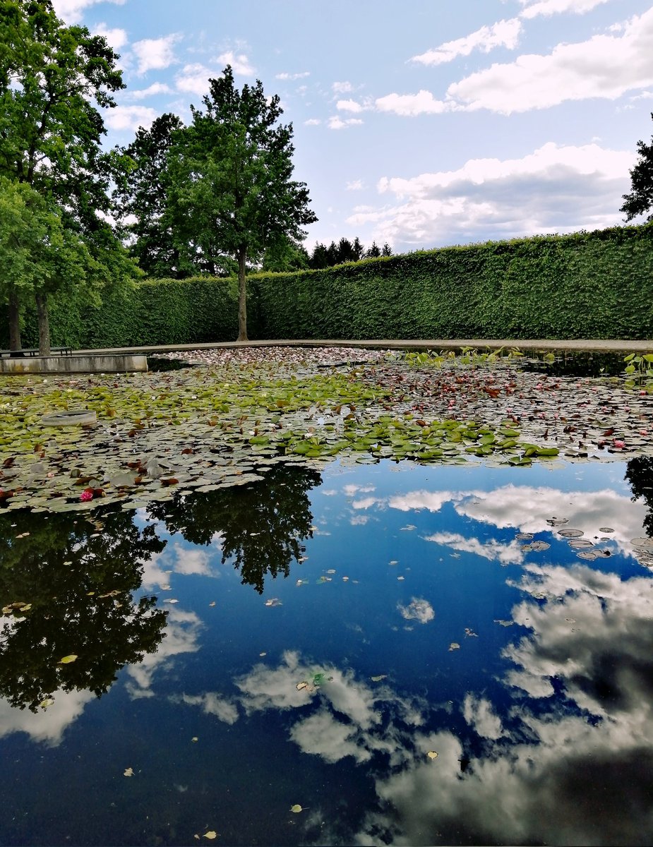 anit2691's tweet image. Along my way...
Happy new month everyone 💕🍀
#HappyMay #nature #reflections #naturelovers #LoveandPeace