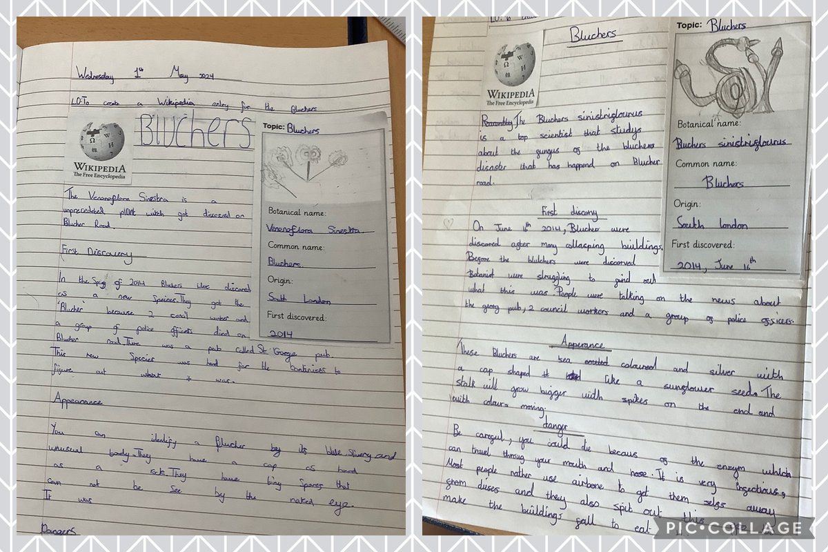 Maple Year 5 tweet media