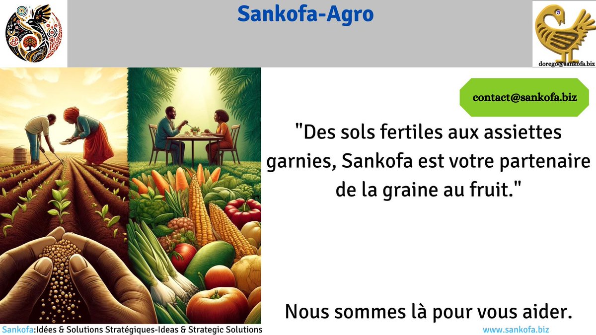 🌱🌿🌳🌞💧🌍
L'#agroécologie met l'accent sur la régénération des sols et la préservation de leur fertilité par des pratiques comme la rotation des cultures, l'utilisation de compost et l'agroforesterie, permettant ainsi à Sankofa-Agro d'accompagner ses partenaires dès