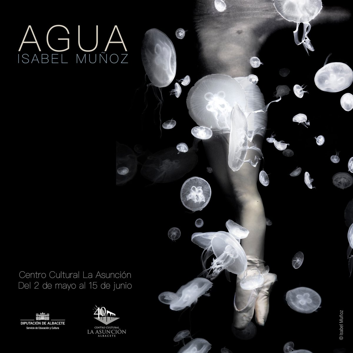 #Dipualba presenta '#Agua': la #exposición de la gran #fotógrafa 📷🎞🔝 Isabel Muñoz, ganadora de (entre otros) el #PremiosNacional de Fotografía (2016) y el @WorldPressPhoto (1999 y 2004)

❣️INAUGURACIÓN:
   ▪︎ 2 mayo
   ▪︎ 19:30h
   ▪︎ #LaAsunción

goo.su/d6Ya6