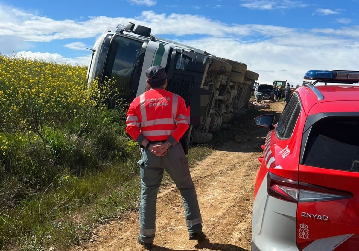 Camión cargado de cerdos en camino de Oteiza, bastantes animales muertos. Chofer ileso pero denunciado por + indiciario en drogas.
#PatrullaTráfico 
#PatrullaEstella 
#PatrullaMedioambiental