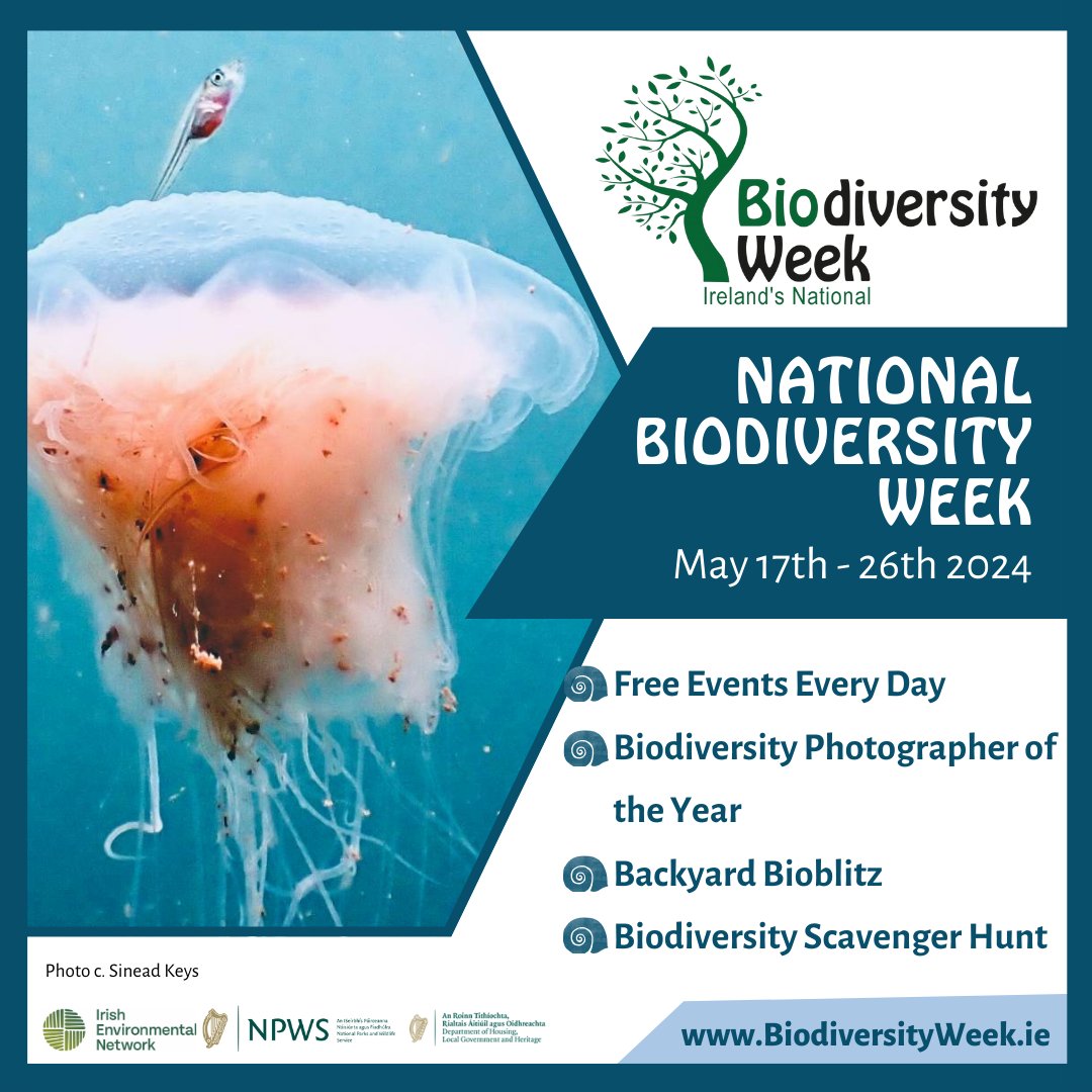 🌿Biodiversity Week photo competition is OPEN!🌍 Share your best shots and have a chance to win some amazing prizes! More details can be found on our website ➜ biodiversityweek.ie/photo-competit… @NPWSIreland @NoticeNature #BiodiversityWeek2024 #PhotoCompetition
