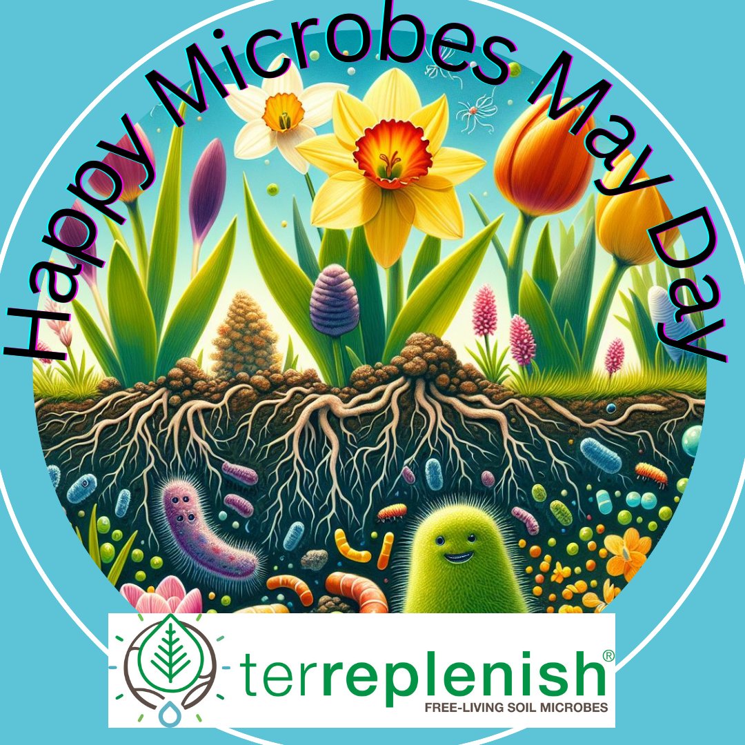 Happy Microbe May Day! Time to get your microbes in the soil🌸🌷🌿🐝🌎 @EasyEnergySys @BioPrefered @ccof #soil #sustainable #organic #flowers #mayday #environment #BiobasedBuyIn #CommitToSwitch #biobasedproducts