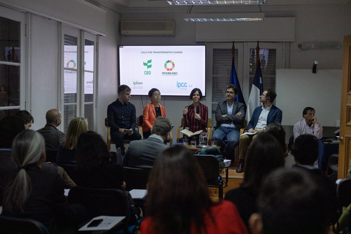Last week we partnered with @RWallenbergInst, @Milenio_ICLAC & @Flacso_Chile to hold a series of discussions in Santiago, Chile, on the sidelines of COP3 of the Escazú Agreement to discuss China and Latin America in the context of green transitions and environmental rights.
🧵1/5