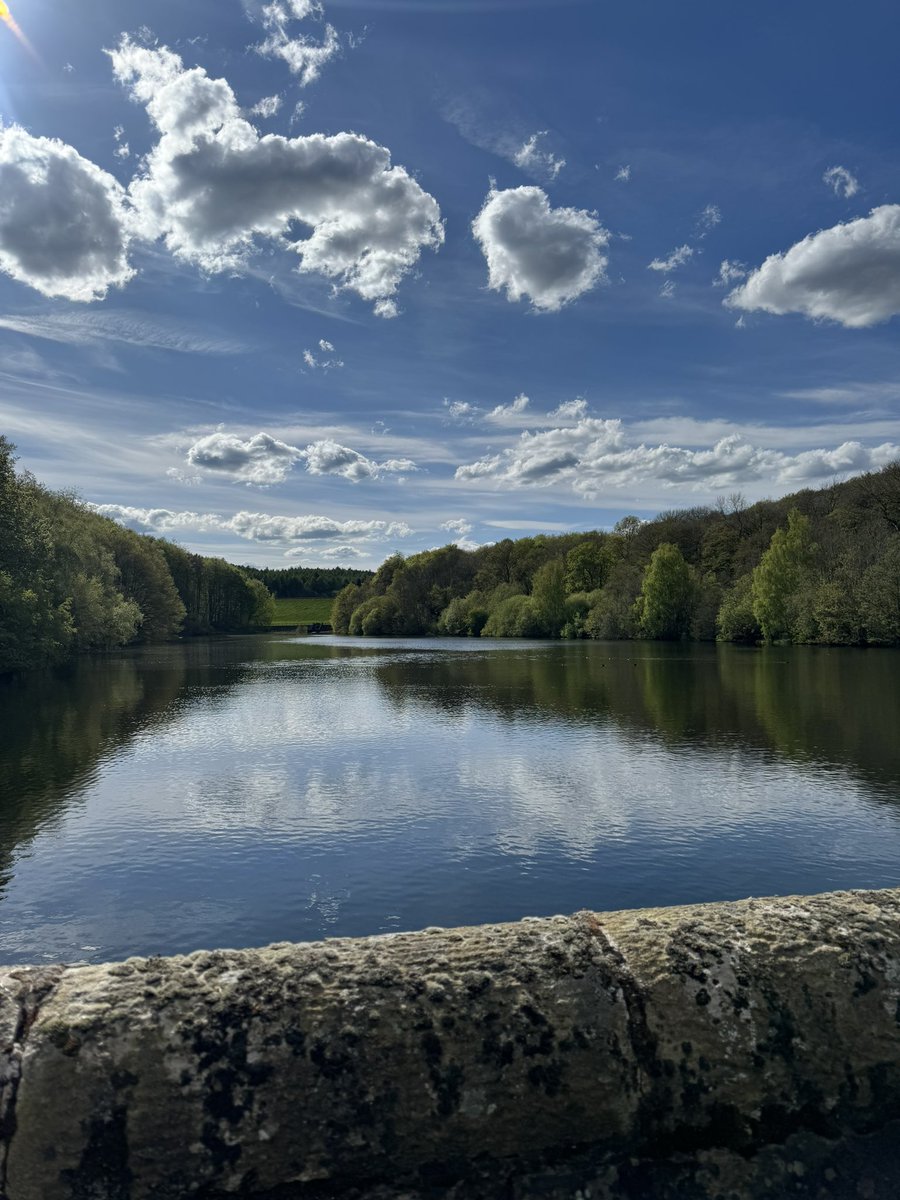 MissTimmonsOAV tweet media