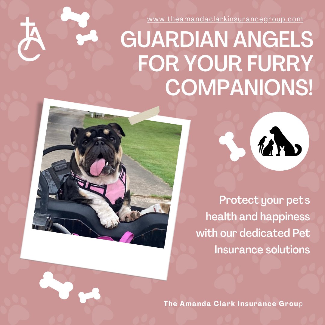 Give your furry friend the care they deserve with our pet insurance. From routine checkups to unexpected emergencies, we've got their tails covered. 🐾 #PetInsurance #TheAmandaClarkInsuranceGroup