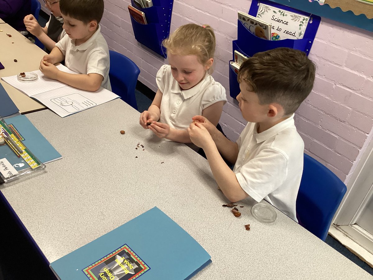 Mrs Rollason tweet media