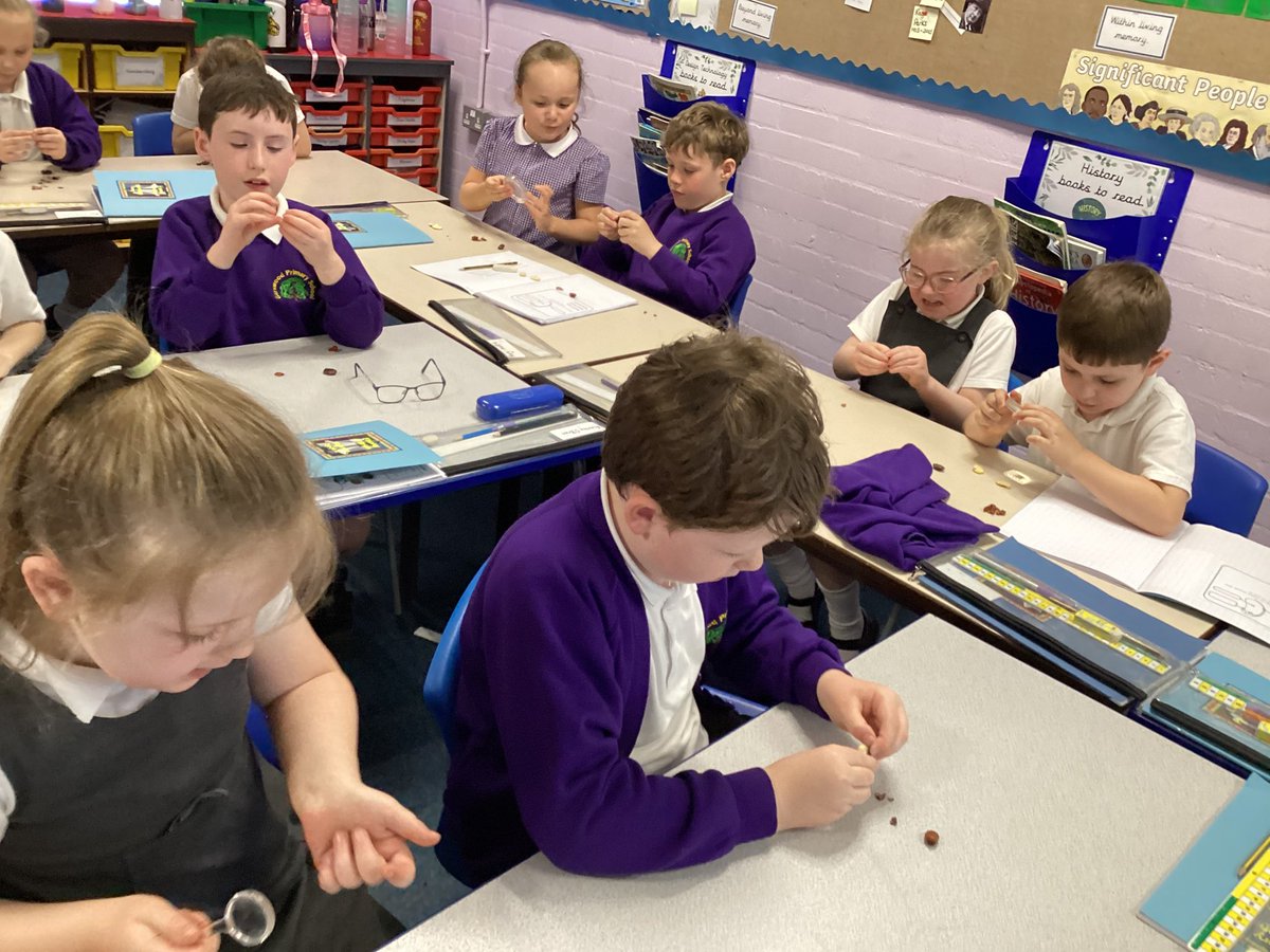 Mrs Rollason tweet media