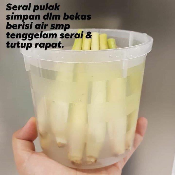 JalanCutiSantai's tweet image. Cara simpan sayur dengan betul. Boleh tahan lama dan jimat tak perlu selalu beli sebab rosak.