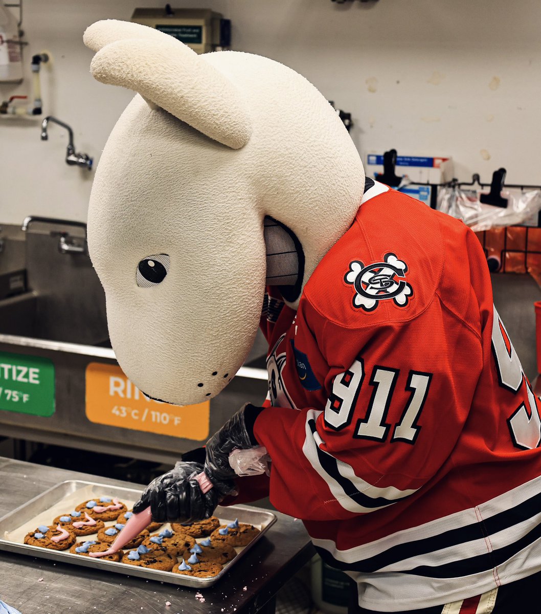 OHLIceDogs tweet picture