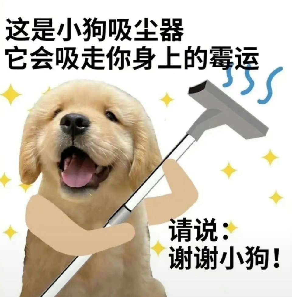 我从哪里可以为服务犬获得资金？ : r/service_dogs, image size:960x978