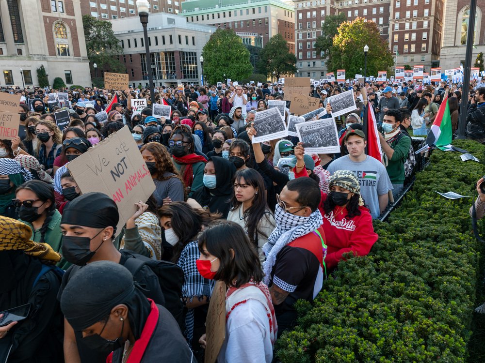 I think it's DISGUSTING that professional agitators have hijacked the otherwise mostly peaceful protests college students have conducted in opposition to the killing of Palestinian civilians. We have seen them do this time and time again on many occasions -- people not…