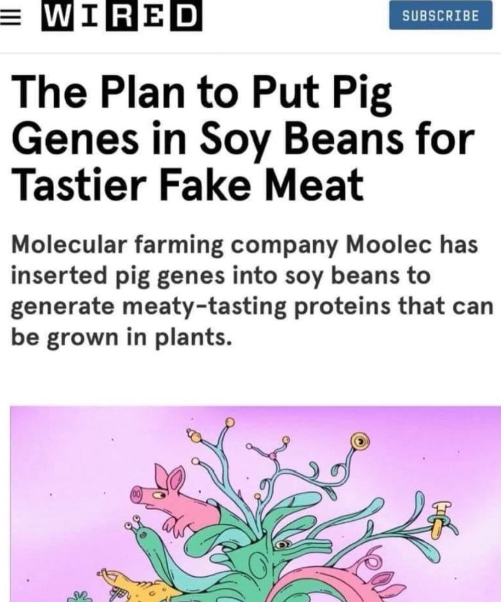Vegans will create genetic freak soybeans before eating meat. Just eat meat, you psychos.