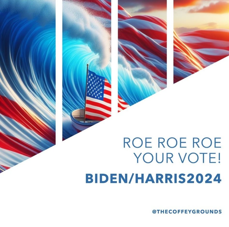 #Women ✊ #RoeRoeRoeYourVote
#WomensRightsAreHumanRights &  these will not go gently into this good night !  🙄
#BidenHarris2024 #VOTE ❕