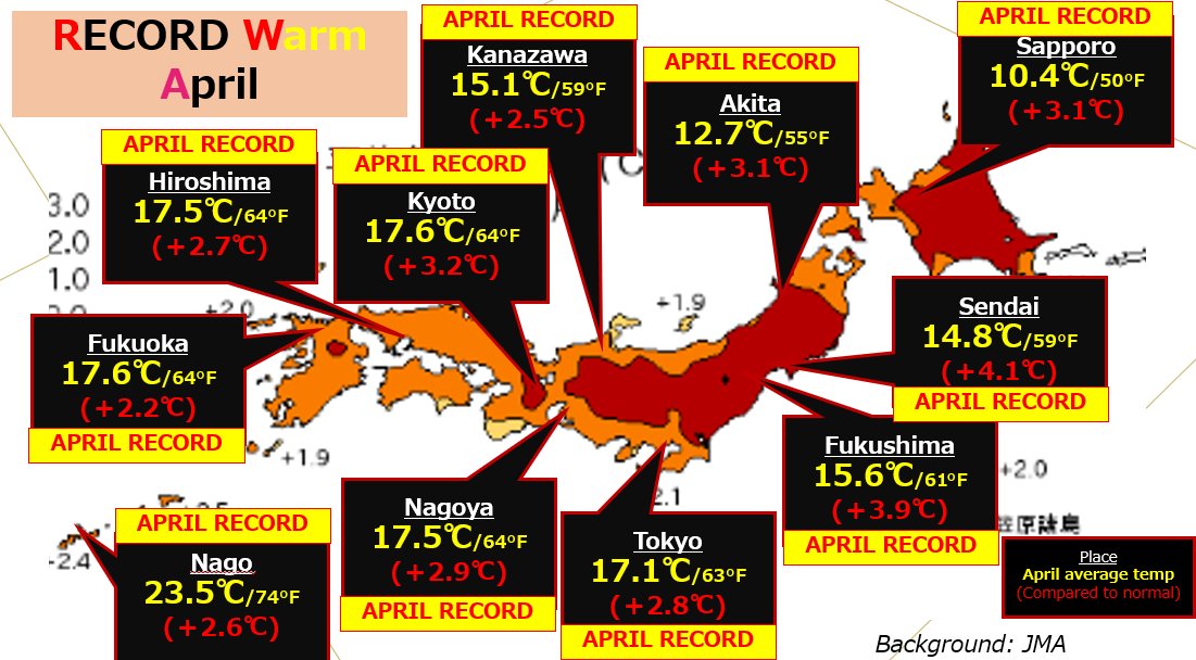 SAYAKAシーメールジャパン 画像