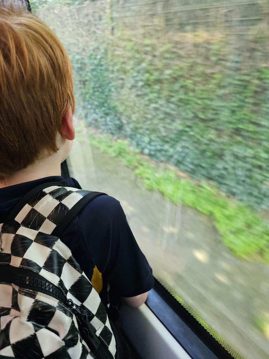 aBitofBat's tweet image. Vandaag zaten wij in 'De trein met de blauwe lampjes'. Gisteren gingen wij spelen in Volkel. 
Gelogeerd bij Paaspop vrienden en enorm verwend daar 💕