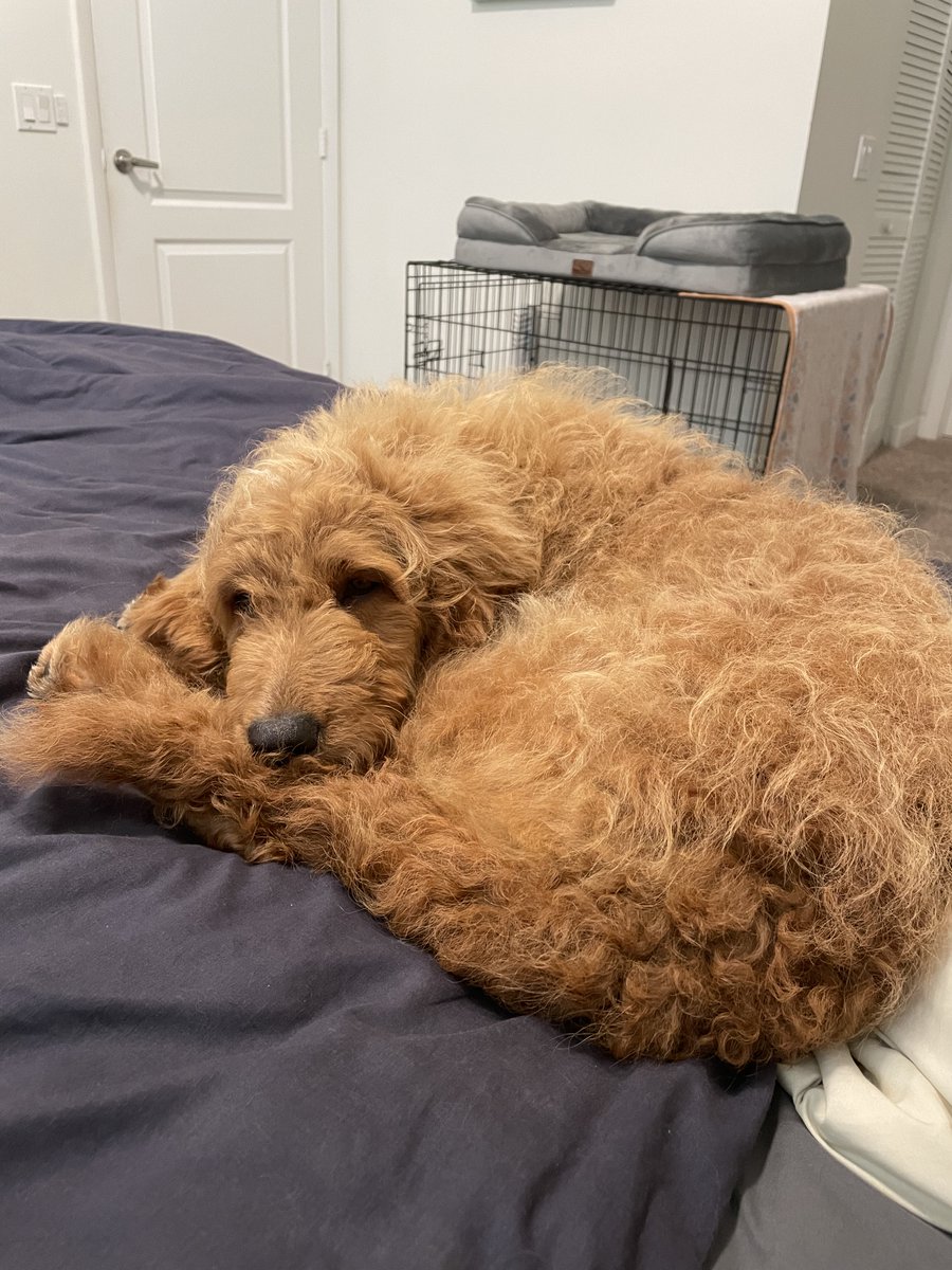 Emma Yasinski (@emmayas24) on Twitter photo 