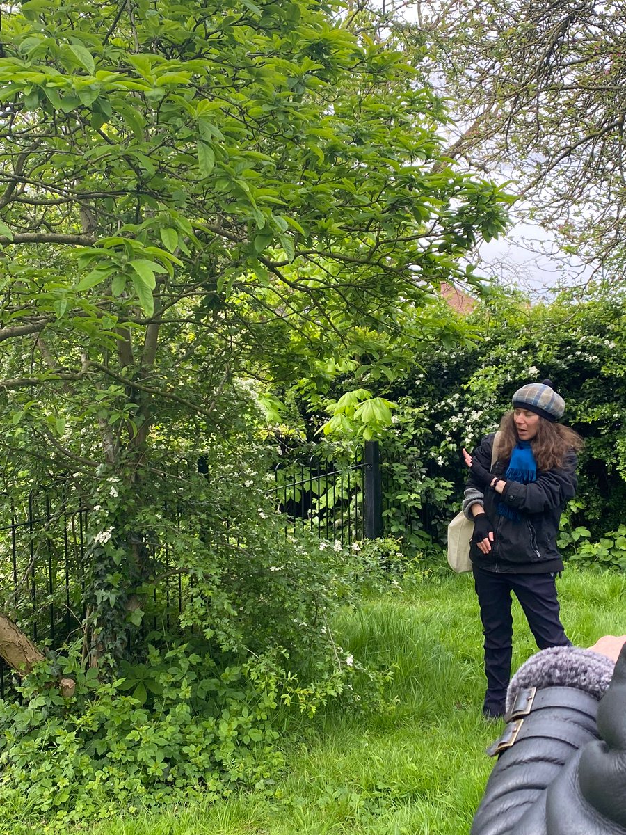 ProjectOrchard's tweet photo. Eating wild garlic pesto and foraging is high up on our list of a perfect way to spend a few hours and it looks like the local community in Hendon, London agree! We recently marked #EarthDay there with a new partnership with @Earthwatch_Eur to create a tiny new food forest. https://t.co/RYSugPvgHZ