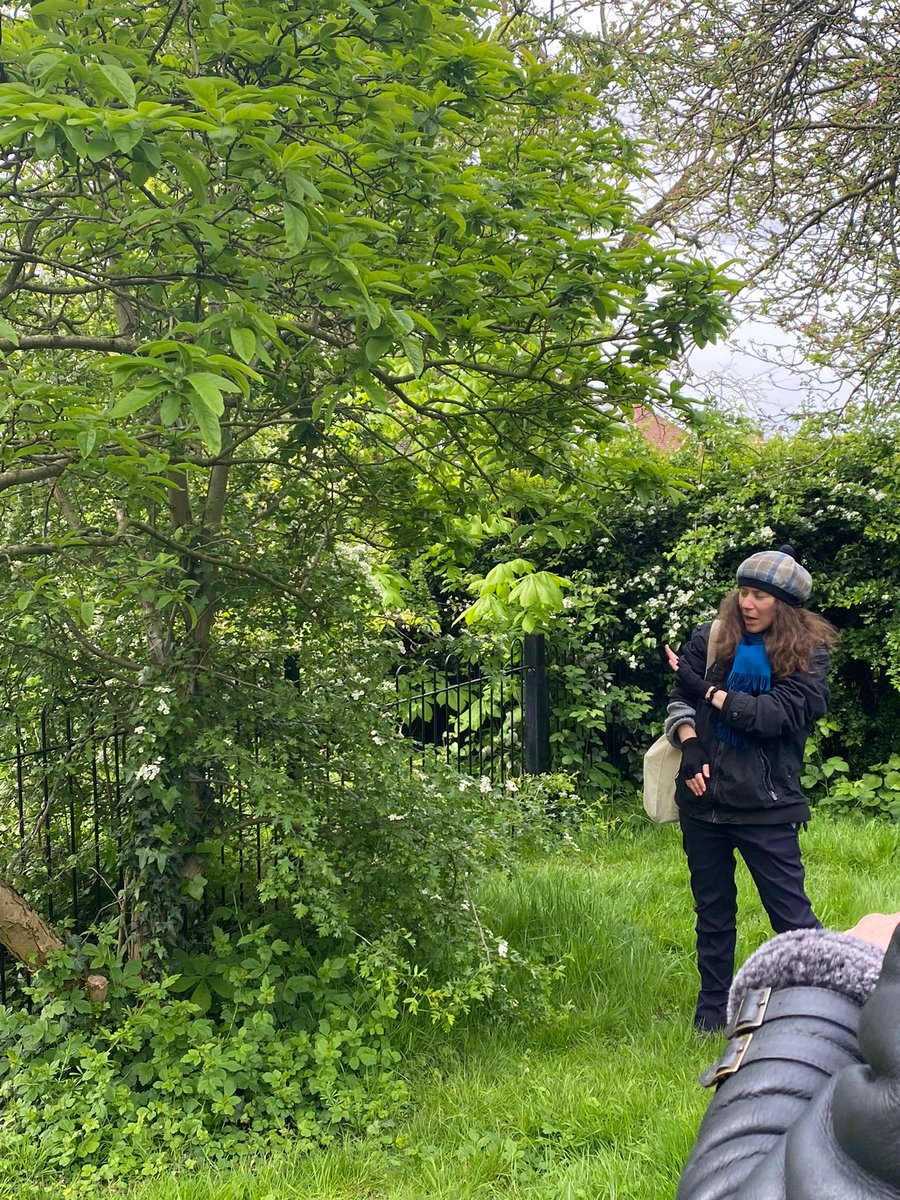 Eating wild garlic pesto and foraging is high up on our list of a perfect way to spend a few hours and it looks like the local community in Hendon, London agree! We recently marked #EarthDay there with a new partnership with @Earthwatch_Eur to create a tiny new food forest.