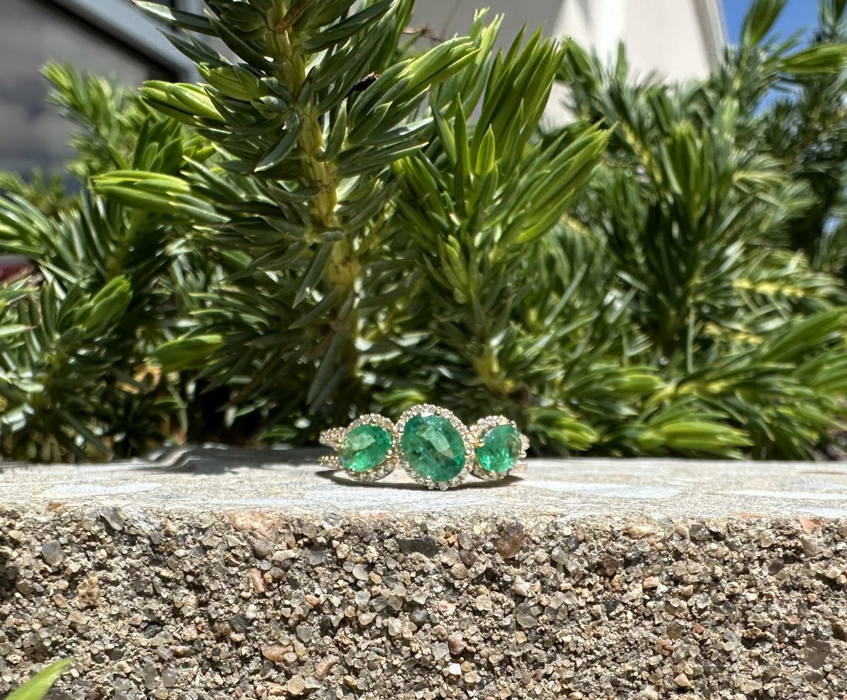 Welcome to May, the month of emeralds! 😍💚

Stop in and pick up a birthstone piece for your May or green loving lady today!

200-02694

#itsaraywardring #diamonds #emeralds #birthstone #may #loveishere  #ring #preferredjeweler #thinkrayward #ardmoreok #shoplocal