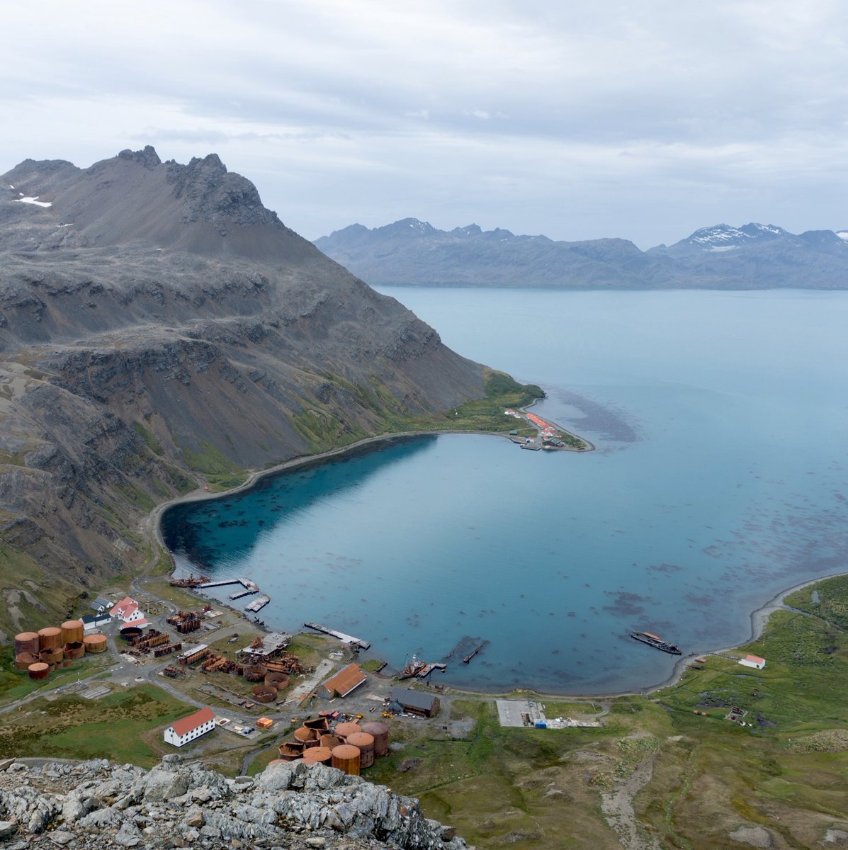 We’re looking for a self-motivated, exceptional candidate to join our dynamic, fast-moving Government team as Operations Manager, devoting world-leading excellence in #environmental management 🇬🇸🐧🌱 Closing date: 20th May More info here: gov.gs/appointments/ #recruiting