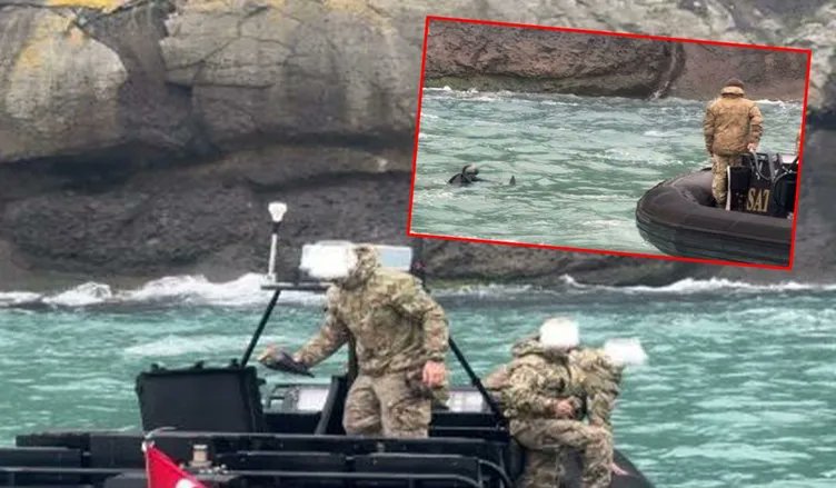 Beykoz’da radar füzesi bulundu Sahil Güvenlik Sarıyer Kolluk Destek Tim Komutanlığı personeli patlayıcı radar füzesi ile karşılaştı. Patlayıcı madde olduğu değerlendirilen cismin fotoğraf ve mevkii bilgileri, Sahil Güvenlik Marmara ve Boğazlar Bölge Komutanlığı Harekat Merkezi…