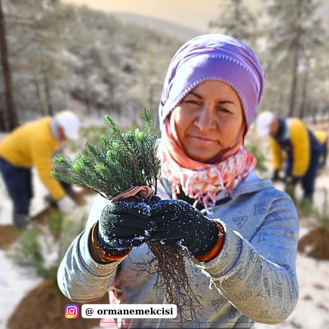 Ülkemiz ormanlarının korunması, geliştirilmesi ve yaşatılmasında  emeği olan #ormanemekçisi kardeşlerimiz başta olmak üzere , tüm emekçilerin
#1Mayıs Emek ve Dayanışma Günü,
 İşçi Bayramı Kutlu Olsun !

<a href="/ormanemekcisi/">Orman Emekçisi</a> 
#orman #işçi  #ormanyangınları  #emekçi #emek #ormanemektir