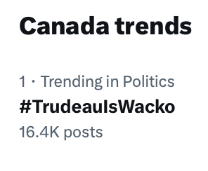 Number one trend!

#TrudeauIsWacko 

Well done, team! 🔥🫡
