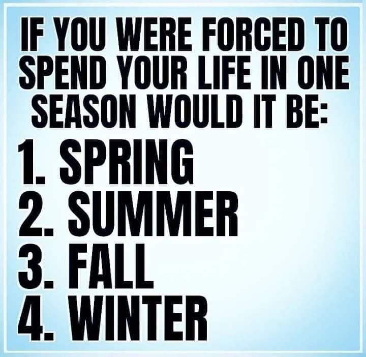 PixleHive tweet media