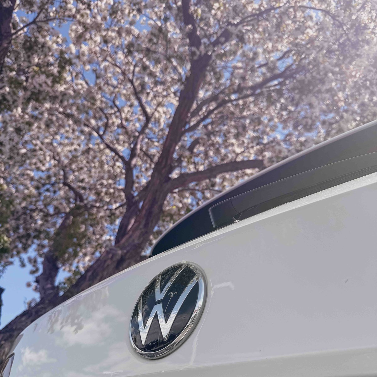 Happy May! Here’s to hoping all those April showers pay off with more May flowers! 🌸 

#volkswagen #vw #vwlove #vwlovers #vdub #vdublove #vwfamily #greeley #colorado #colorfulcolorado